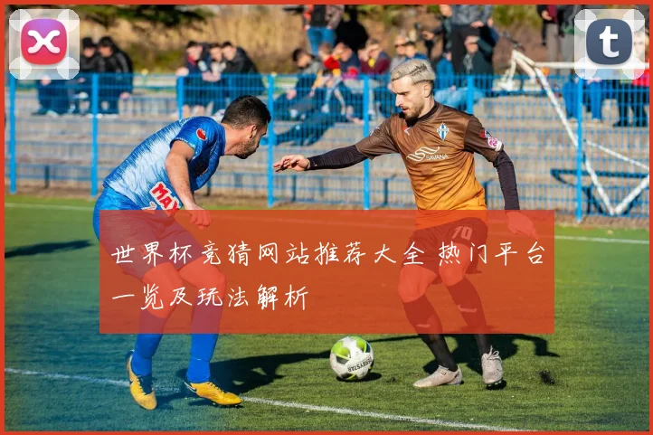 世界杯竞猜网站推荐大全 热门平台一览及玩法解析