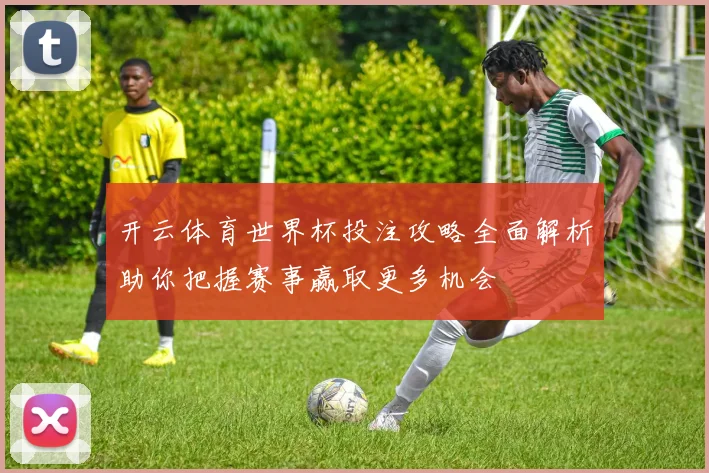 开云体育世界杯投注攻略全面解析助你把握赛事赢取更多机会