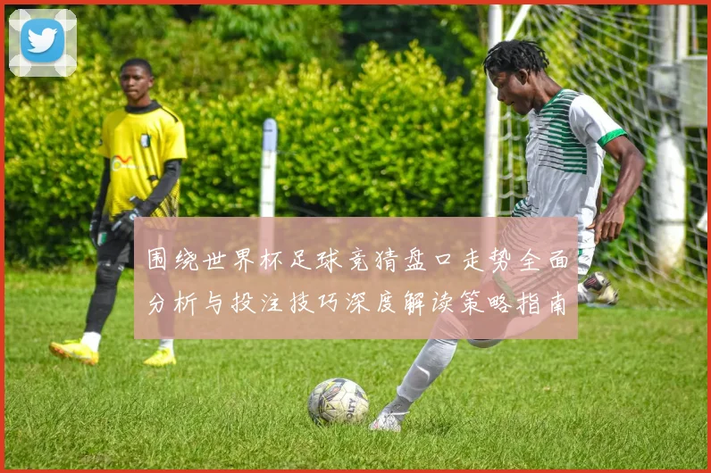 围绕世界杯足球竞猜盘口走势全面分析与投注技巧深度解读策略指南