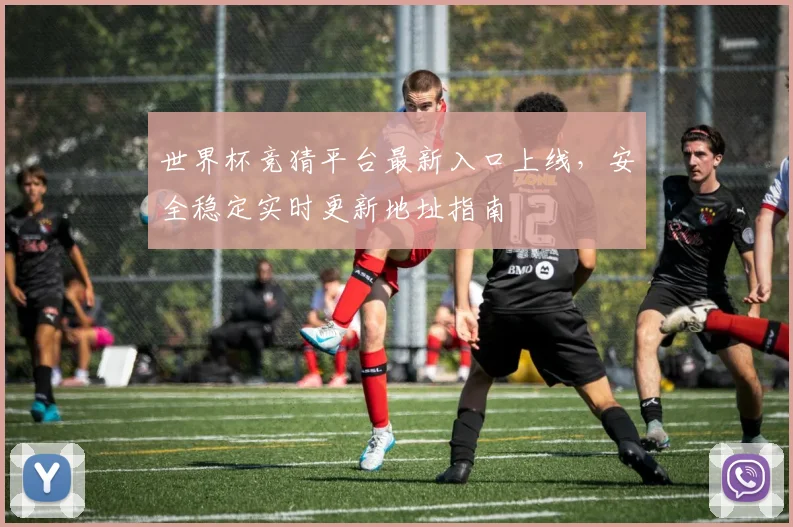 世界杯竞猜平台最新入口上线，安全稳定实时更新地址指南