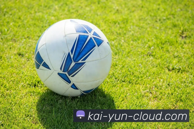 开云平台展示图