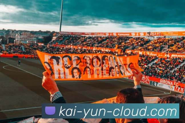 开云官网全站App